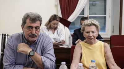 Ακρίτα σε Πολάκη: «Έχεις δίκιο βουνό αλλά μη φωνάζεις ρε Παύλο! - Τα υπόλοιπα στο τηλέφωνο»