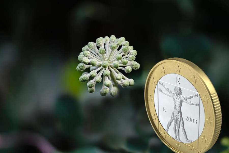 Κορωνοϊός: Πρόστιμα 473.000 ευρώ και τέσσερις συλλήψεις για παραβίαση των μέτρων από τις ελεγκτικές αρχές