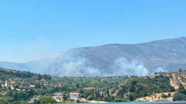 Εύβοια: Πυρκαγιά σε αγροτοδασική έκταση στην Επισκοπή Κύμης - Εκκένωση μέσω του 112