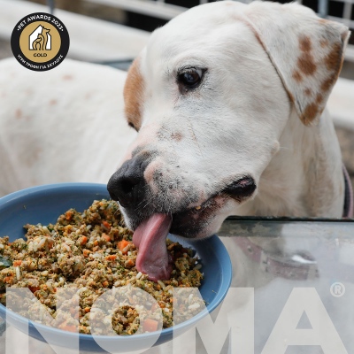 Η NOMA συνεργάζεται με την Human & Pets για την Εξαγωγή Πρωτοποριακών Μαγειρεμένων Τροφών για Κατοικίδια στην Κύπρο
