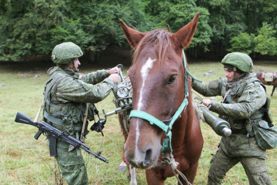 Η ράτσα Καρατσάι στη μάχη: Οι Ρώσοι στρατιώτες άρχισαν να χρησιμοποιούν τακτικές επίθεσης με... άλογα