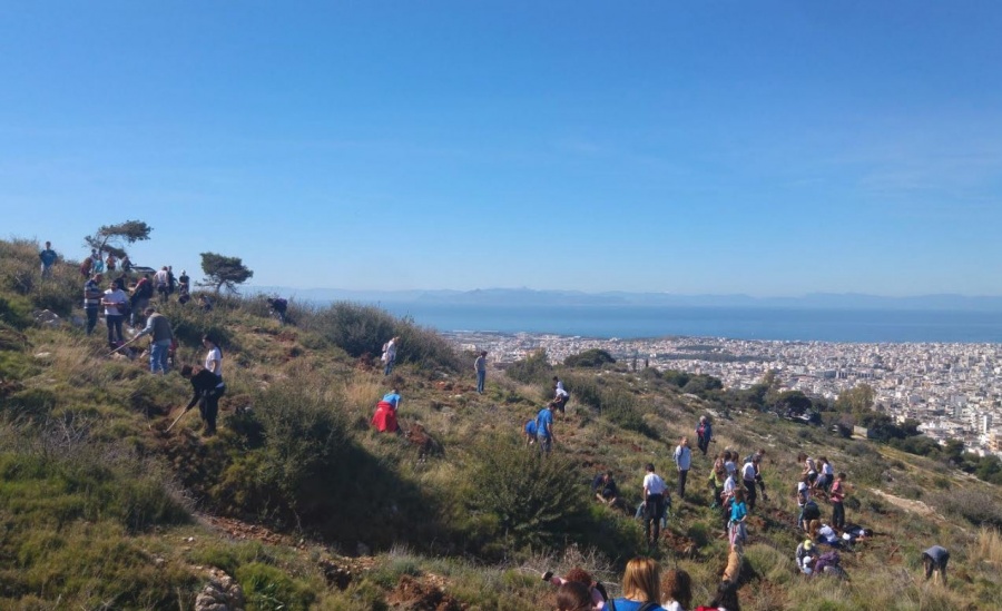 Αναδάσωση στον Υμηττό με πρωτοβουλία του Αμερικανικού Κολλεγίου Ελλάδος