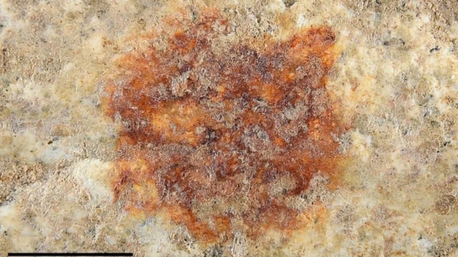 Ανακαλύφθηκε το παλαιότερο ανθρώπινο αποτύπωμα στην Ευρώπη – Το μυστήριο με τους Νεάντερταλ