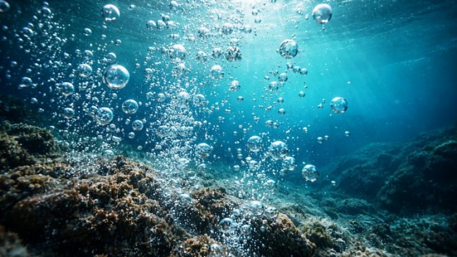 Αναστάτωση στους επιστήμονες - Εντοπίστηκαν άγνωστα πλάσματα στα βάθη του Ειρηνικού