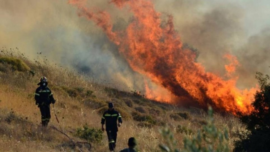 Φωτιά μαίνεται στο Δίστομο Βοιωτίας - Έχουν σπεύσει ισχυρές πυροσβεστικές δυνάμεις