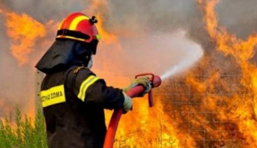 Πυρκαγιά στα Βασιλικά της Σαλαμίνας - Φωτιά και στην περιοχή Ριόλος της Αχαΐας
