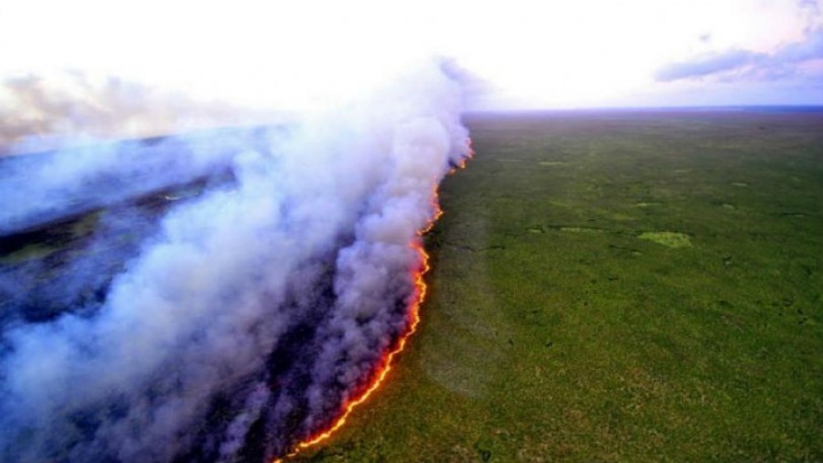 Βραζιλία: Καταστροφικές πυρκαγιές κατακαίνε και πάλι τον Αμαζόνιο - Διεθνής κατακραυγή κατά του Bolsonaro