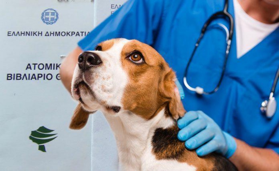 Κτηνίατροι κατά κυβέρνησης για «νόμο Άργος»: Ούτε βήμα πίσω, αντιεπιστημονική η προσέγγιση, καθολική αποχή από λήψη dna σε κατοικίδια