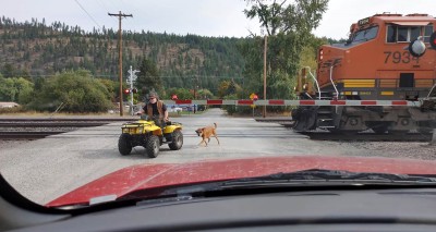 “Σώστε τον σκύλο από τον τρελό”