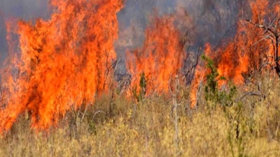 Λάρισα: Οριοθετήθηκε η πυρκαγιά στο Κιλελέρ