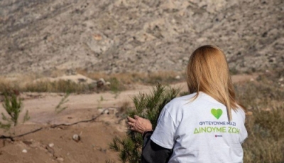 Αναδάσωση στην περιοχή της Κινέτας από τον όμιλο της Motor Oil