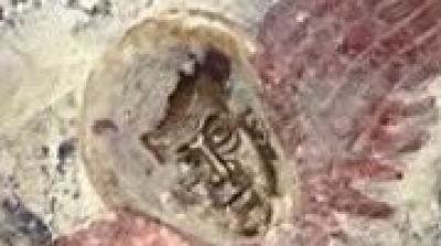 Σάλος με καταγγελίες ότι καταστράφηκαν τοιχογραφίες στην ανακαίνιση της Μονής Σουμελά - Τι απαντούν οι τουρκικές Αρχές