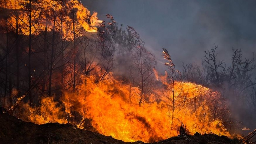 Βόλος: Μήνυμα του 112 στους κατοίκους των οικισμών Γλαφυρά, Κάκαβος, Μελισσάτικα, Φυτόκο, Λούτζιγκα και Κογιάτικα να βρίσκονται σε ετοιμότητα