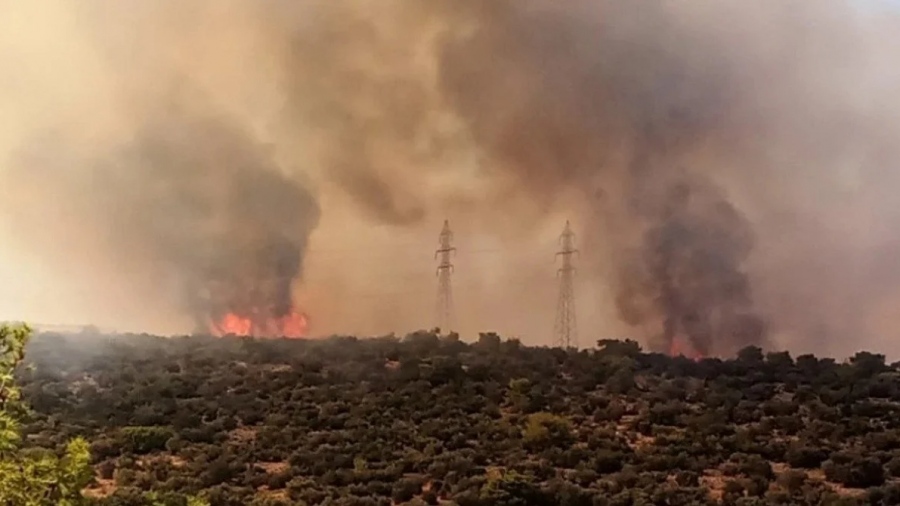 Φωτιά στη Μάνδρα: «Δεν υπάρχει αεροπλάνο ούτε πυροσβέστης, μας έχουν αφήσει στο έλεος του Θεού» καταγγέλλει κάτοικος