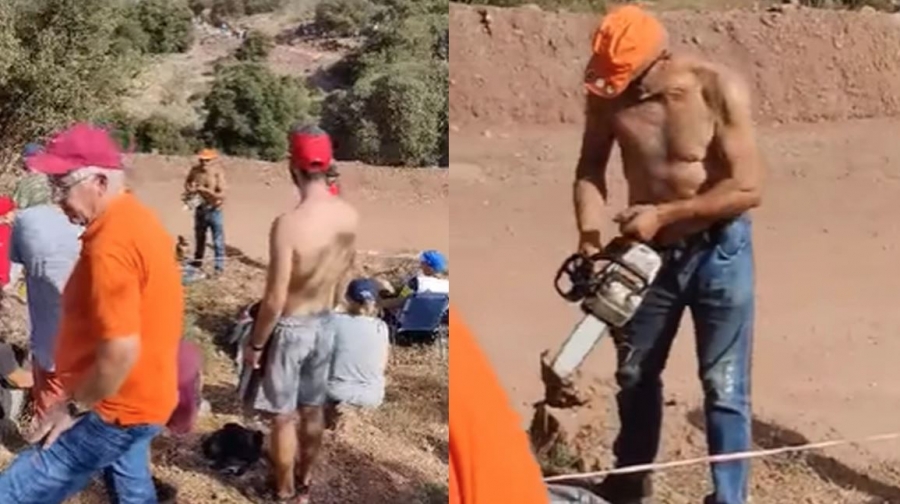 Ανήκουστο!: Θεατής του ΕΚΟ Ράλλυ Ακρόπολις 2022 έκοψε δέντρο με αλυσοπρίονο γιατί του... έκρυβε τη θέα