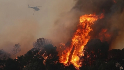 Πύρινη κόλαση σε δάσος στο Βερολίνο ύστερα από έκρηξη πυρομαχικών της... αστυνομίας