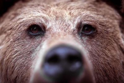 Fundstrat: Το 2023 ήταν κακό για τις «αρκούδες» του Χρηματιστηρίου σαν τον Big Short - Οι 5 λόγοι για τους οποίους θα χειροτερέψει