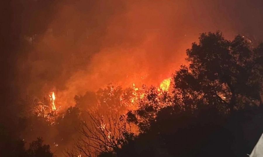 Πύρινη κόλαση στην Κρήτη: Μεγάλη φωτιά στα Χανιά - Πνέουν ισχυροί άνεμοι στην περιοχή