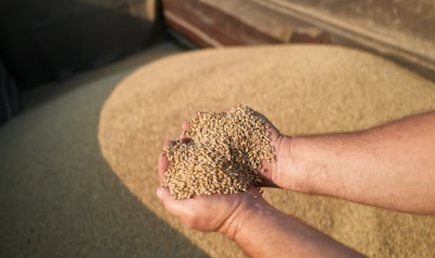 Ανταρσία Πολωνίας, Ουγγαρίας και Σλοβακίας με απαγόρευση εισαγωγής Ουκρανικών σιτηρών - Orban: Θα πάρουμε την κατάσταση στα χέρια μας