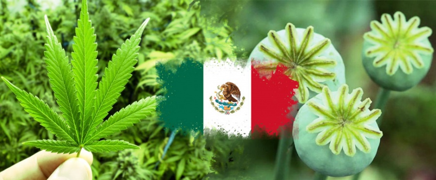 Το Μεξικό «απειλεί» τις ΗΠΑ με τη νομιμοποίηση του  οπίου για ιατρική χρήση