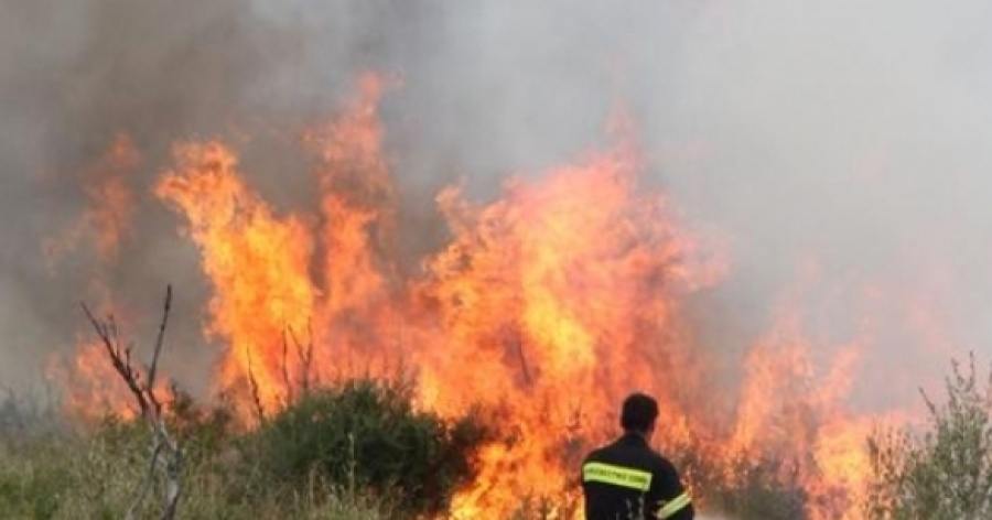 Φωτιά σε δασική έκταση στη Βοιωτία – Την κατάσβεσή της επιχειρούν οι πυροσβεστικές δυνάμεις