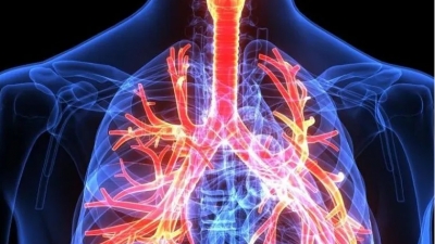 Συμπτωματολογία του αναπνευστικού συστήματος