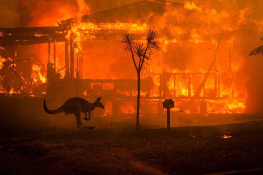 Οργή για την πύρινη λαίλαπα στην Αυστραλία - Στους 18 οι νεκροί, 28 αγνοούμενοι - Τεράστια οικολογική καταστροφή