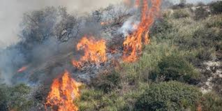 Κύπρος: Τεράστια φωτιά μήκους 2 χιλιομέτρων καίει Λεμεσό και Πάφο - Για εγκληματική ενέργεια κάνουν λόγο οι Αρχές