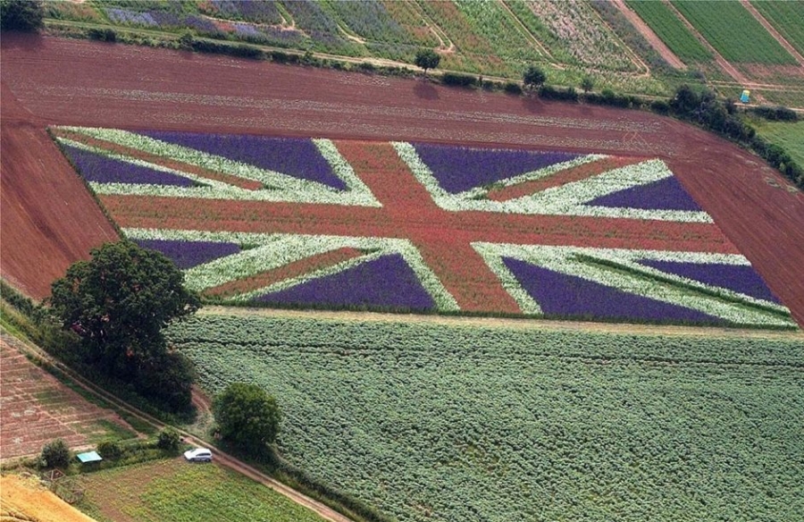 Βρετανία: Σε «έκτακτη ανάγκη» οι αγρότες - Ελλείψεις σε αβγά, φρούτα, λαχανικά