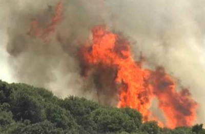 Μεγάλη πυρκαγιά σε δασική περιοχή στη Χαλκιδική – Ισχυρές δυνάμεις της Πυροσβεστικής επί τόπου