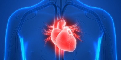 MitraClip στο Metropolitan: Eπιδιόρθωση βαλβίδας της καρδιάς χωρίς διάνοιξη του θώρακα