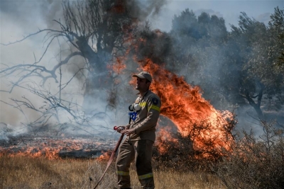 Συγκλονιστικά στοιχεία - Σχεδόν 4.000 δασικές πυρκαγιές έκαψαν την Ελλάδα από τον Μάιο μέχρι σήμερα