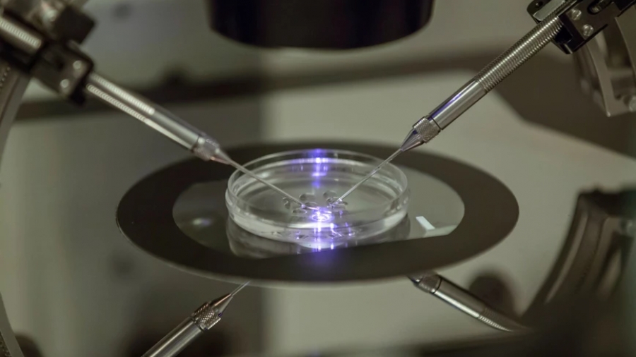 Γιατρός χρησιμοποιούσε το δικό του σπέρμα σε εξωσωματικές και η συμφωνία των 10 εκατ. δολαρίων