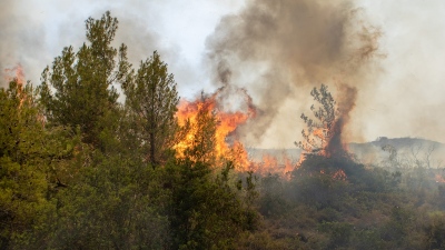 Πύρινα μέτωπα σε Μεγαλόπολη και Αργολίδα - Εκκενώσεις περιοχών - Μεγάλη κινητοποίηση της Πυροσβεστικής