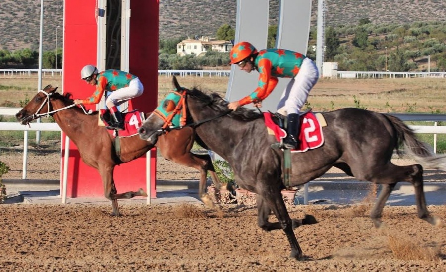 Εφτά ιπποδρομίες σήμερα στο Μαρκόπουλο - Ξεχωρίζει το σπριντ των 1.100 μέτρων