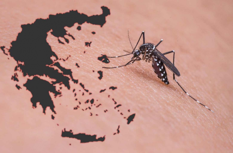 Ανησυχία για τον ιό του Δυτικού Νείλου - Ραγδαία άνοδος των κρουσμάτων, προβληματισμός από την νόσηση 13χρονου