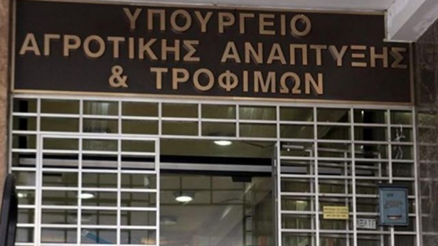 ΥπΑΑΤ: Καταχώρηση της ονομασίας «ΚΑΛΑΜΑΤΑ/KALAMATA» στο μητρώο ποικιλιών ως συνωνύμου της ποικιλίας ελιάς «ΚΑΛΑΜΩΝ/KALAMON»