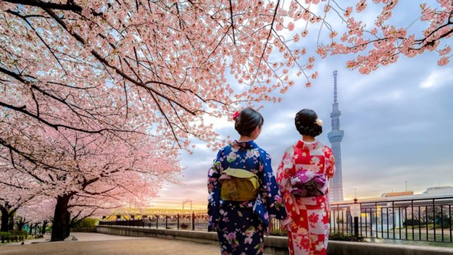 Ιαπωνία: Ο «ανατέλλων ήλιος» στην αγορά ευεξίας