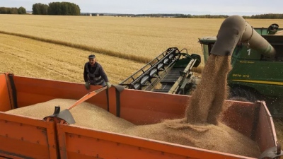 Η Ρωσία θα αναλάβει το ένα τέταρτο των παγκόσμιων εξαγωγών σιταριού για πρώτη φορά φέτος