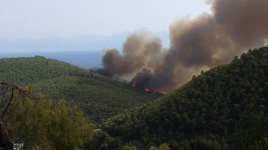 Σε εξέλιξη πυρκαγιά σε δασική έκταση στη Σκόπελο