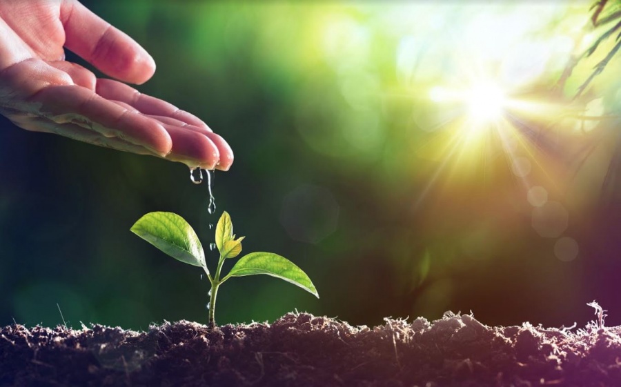 Η Bayer επιβεβαιώνει την κορυφαία διεθνή θέση της για την προστασία του κλίματος και τη βιώσιμη διαχείριση των υδάτινων πόρων