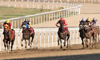 Markopoulo Park: Δεύτερο συνεχόμενο τζακ ποτ στο ΣΚΟΡ 6
