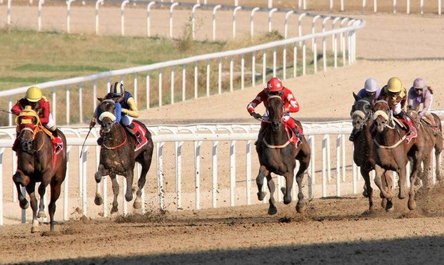 Markopoulo Park: Δεύτερο συνεχόμενο τζακ ποτ στο ΣΚΟΡ 6