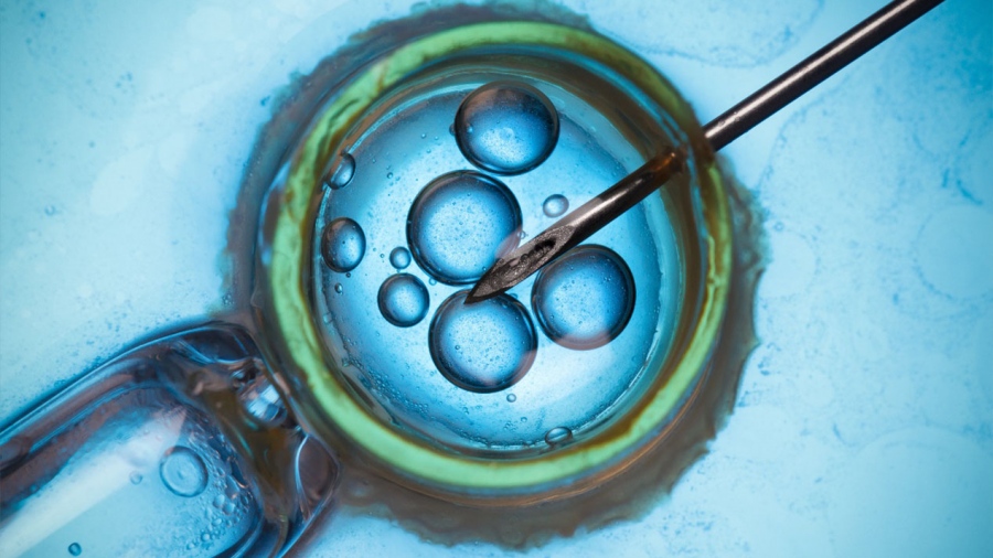 Ενισχύστε απλά τη γονιμότητά σας, συμβάλλετε στην επιτυχία της εξωσωματικής γονιμοποίησης