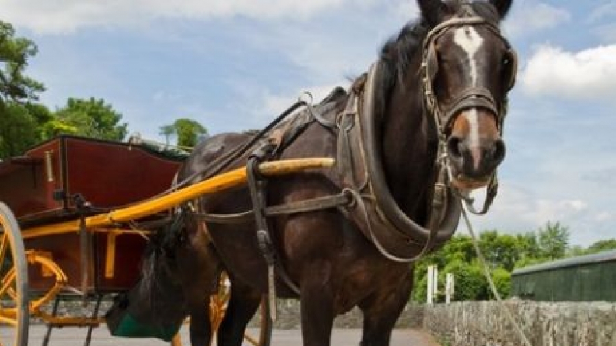 Πάτρα: Νεαρός ξύπνησε από κώμα μετά από δύο μήνες - Είχε πέσει από κάρο