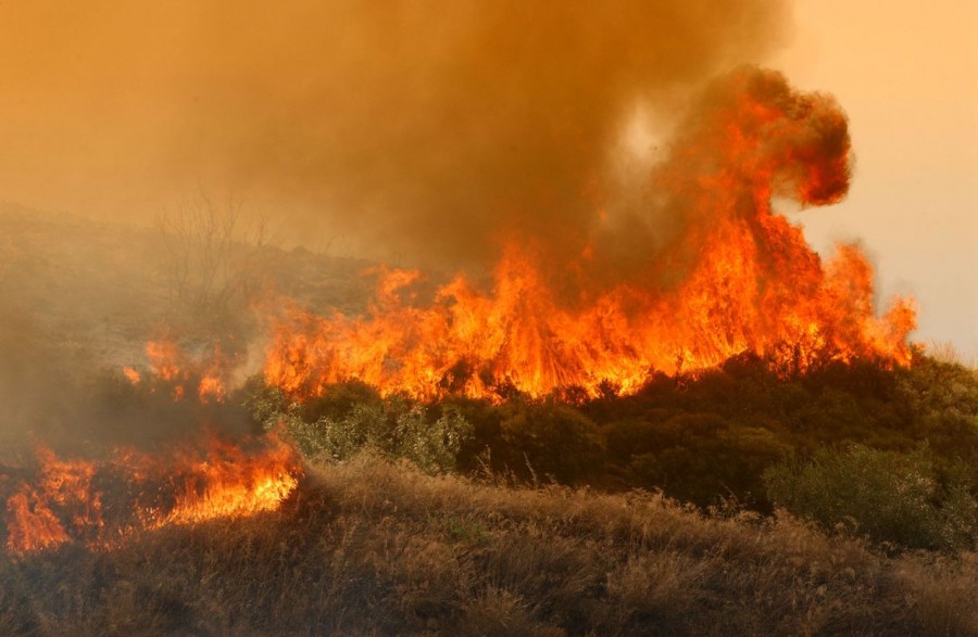 Πυρκαγιά στην Ηλεία – Στο σημείο 40 πυροσβέστες και εναέρια μέσα