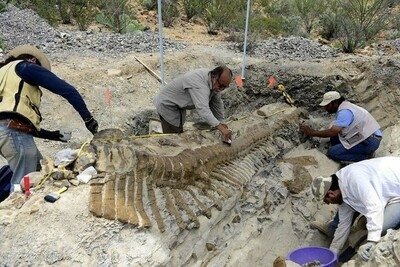 Αναγνωρίστηκε νέο είδος δεινοσαύρων στο Μεξικό