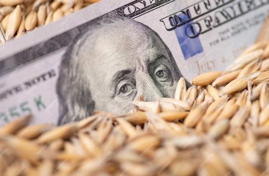 Γεγονός η εμπορική επανάσταση των BRICS: Εκτός δολαρίου η παγκόσμια αγορά σιτηρών –  Τρομακτικές οι απώλειες για τη Δύση