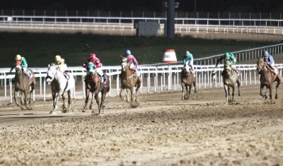 Markopoulo Park: Έπαθλα 25.000 ευρώ και 28 κορυφαίοι ίπποι στα Winter Challenge