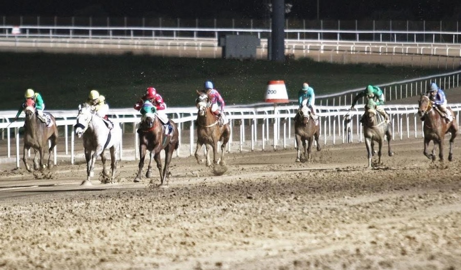 Markopoulo Park: Έπαθλα 25.000 ευρώ και 28 κορυφαίοι ίπποι στα Winter Challenge